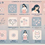 DALL·E 2024-11-10 23.32.31 - An informative image in 16_9 aspect ratio illustrating the common symptoms of pregnancy. The background should be soft and gentle, with pastel colors